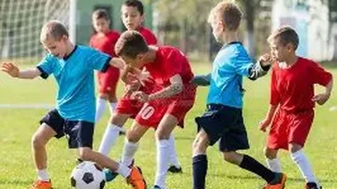 伊能静三轮车取快递，900件包裹到货场面逗趣