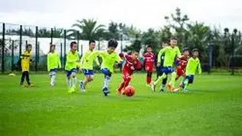 开云体育官网直播 资讯 094025 wxc