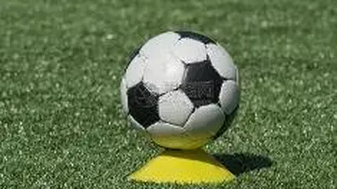 开云体育官网直播 资讯 094337 6d5