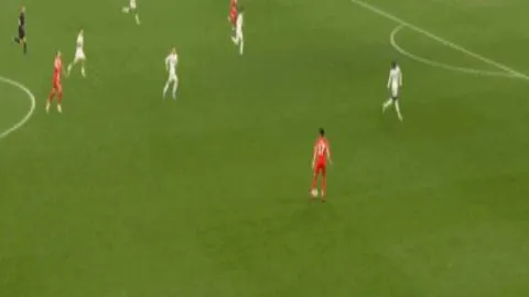 开云体育官网直播 资讯 171426 183